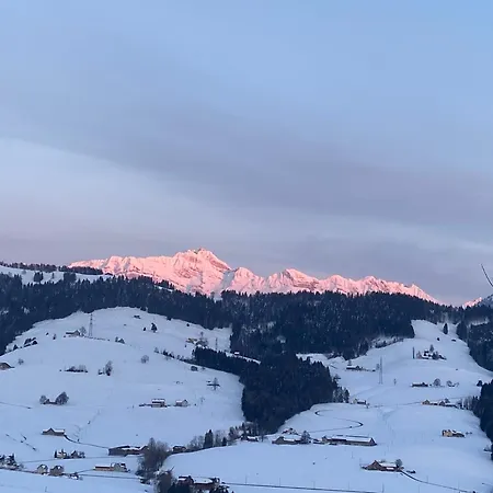 Wunderschoene Maisonette-ferienwohnung In Stattlichem Toggenburgerhaus Apartment *