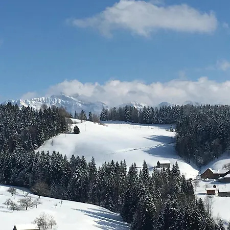 Apartment Wunderschöne Maisonette-ferienwohnung In Stattlichem Toggenburgerhaus *