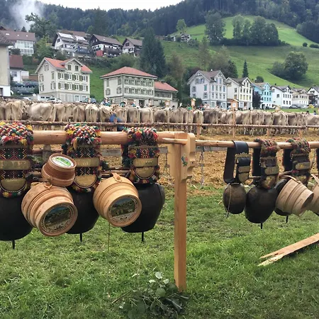Wunderschöne Maisonette-ferienwohnung In Stattlichem Toggenburgerhaus