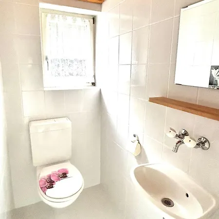 Wunderschoene Maisonette-ferienwohnung In Stattlichem Toggenburgerhaus *