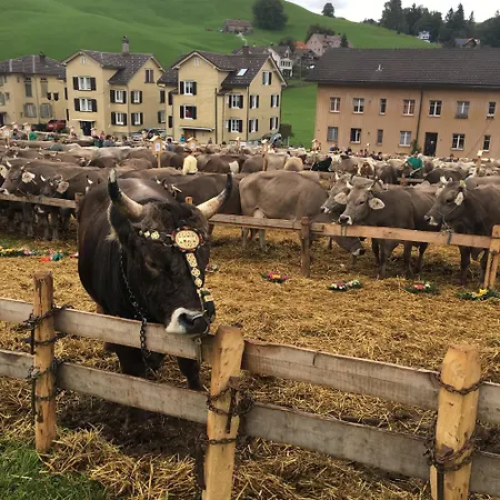 Wunderschöne Maisonette-ferienwohnung In Stattlichem Toggenburgerhaus