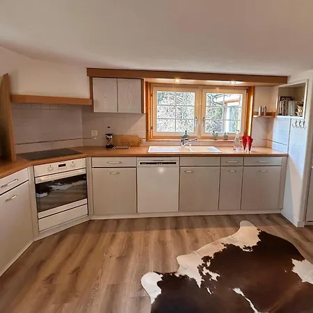 Wunderschoene Maisonette-ferienwohnung In Stattlichem Toggenburgerhaus Apartment