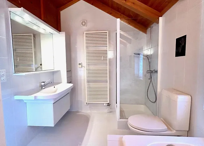 Wunderschoene Maisonette-ferienwohnung In Stattlichem Toggenburgerhaus Appartement Sankt Peterzell