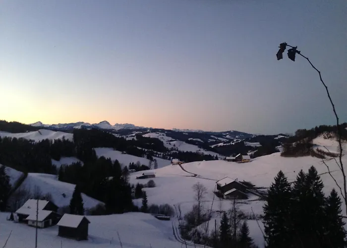 Wunderschoene Maisonette-ferienwohnung In Stattlichem Toggenburgerhaus *