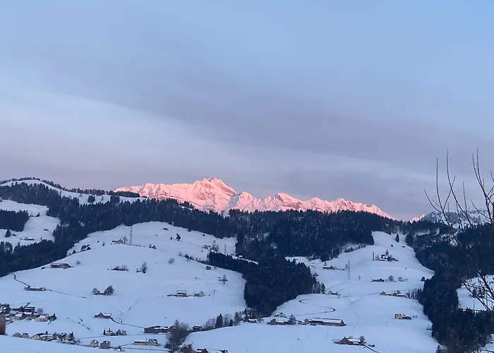 Wunderschoene Maisonette-ferienwohnung In Stattlichem Toggenburgerhaus Appartement *