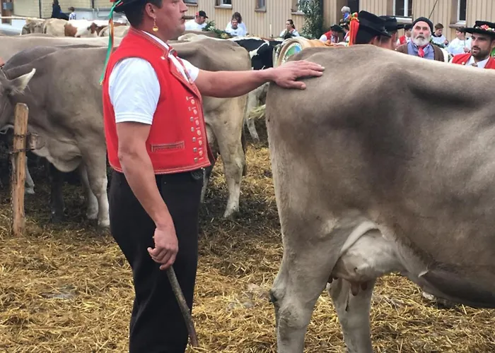 Appartement Wunderschoene Maisonette-ferienwohnung In Stattlichem Toggenburgerhaus *