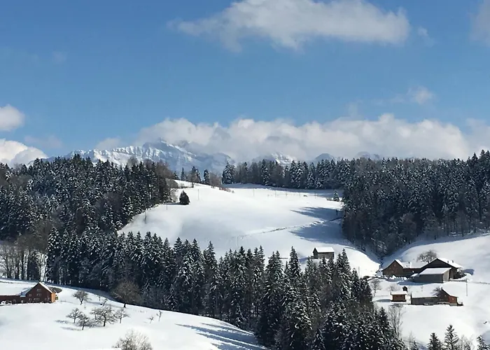 Appartement Wunderschoene Maisonette-ferienwohnung In Stattlichem Toggenburgerhaus *