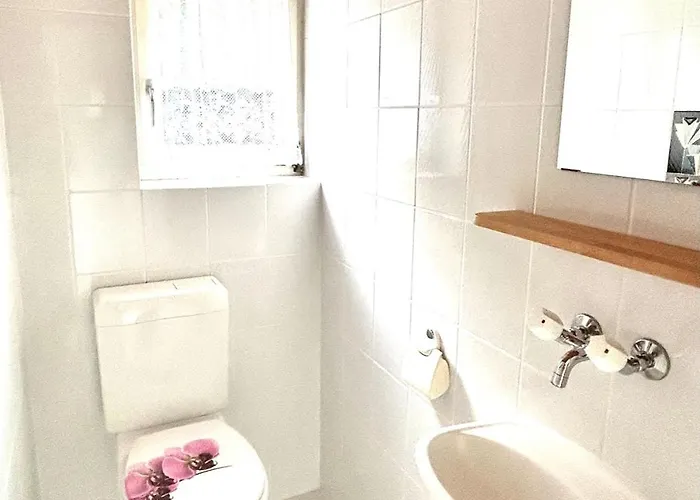 Wunderschoene Maisonette-ferienwohnung In Stattlichem Toggenburgerhaus *