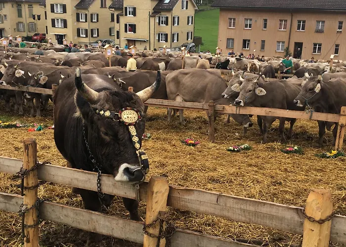 Wunderschoene Maisonette-ferienwohnung In Stattlichem Toggenburgerhaus