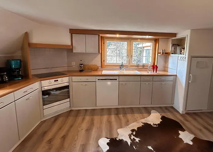 Wunderschoene Maisonette-ferienwohnung In Stattlichem Toggenburgerhaus Appartement