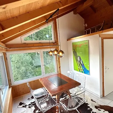 Wunderschoene Maisonette-ferienwohnung In Stattlichem Toggenburgerhaus Daire